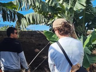 Banana ECOplantation: Sustainable Banana Farming in Ten