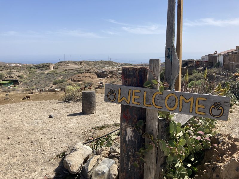 Tenerife Animal Sanctuary