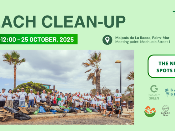 beach cleanup palm mar